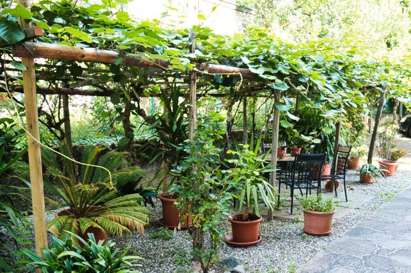Cafe Rudi Living Bed & Breakfast Parcines Luaran gambar
